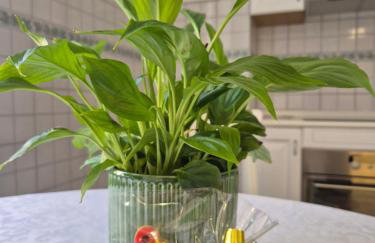 Olive tree's house - Foto 16