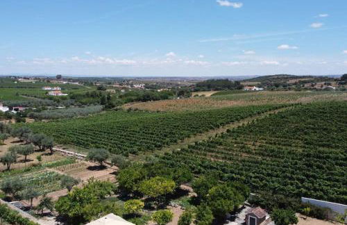 Horta dos Caracóis - Foto 51