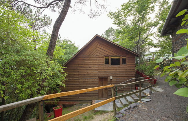 Alaya Stays Suro Woodbine Chalet Cottage - Foto 70