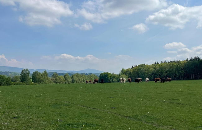 Holiday Home Knezice Near Jested Ski - Photo 27