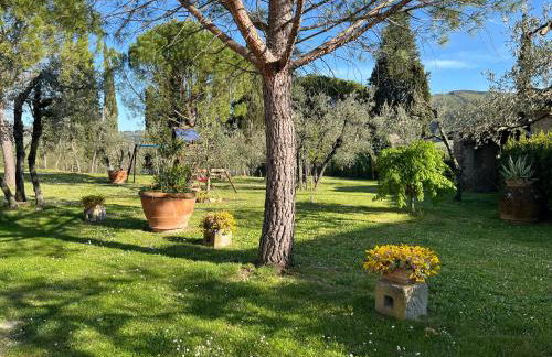 Agriturismo IL VIAIO - Foto 33