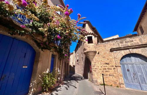 Pézenas Centre Historique - plages à 20 mn - Foto 33