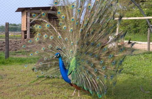 Le gîte Bleu - Foto 3