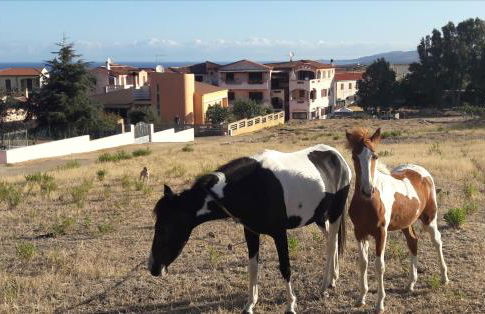 Casa Vacanze residence Cavour Attico - Foto 55