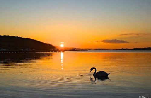 Kesh Lakeside Cottage - Foto 20