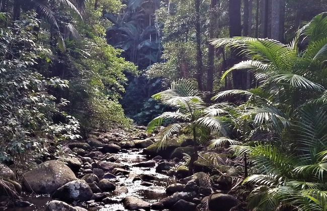 Bellthorpe Stays - Foto 32