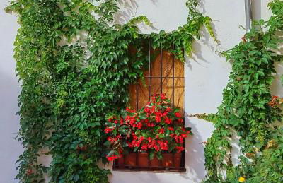 Casa Leyendas de Cáceres - en plena zona monumental - Foto 32