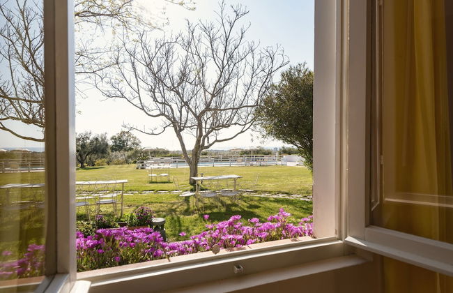 Podere l'Agave - Foto 64