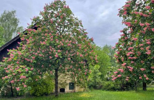 Komfortowy dom w lesie - Foto 35