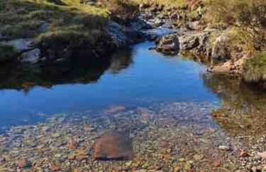 Lakeland Retreat - Foto 14