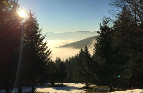 Chamois Rouge - Foto 34