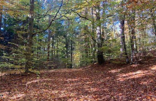 Feel-Harmonia w Nowym Kawkowie - Foto 26