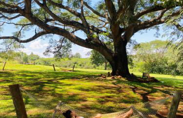 Pousada Rio Gouveia - Foto 90