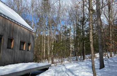 Modern Mountain Retreat - Foto 11