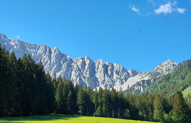 Secluded Apartment in Ferlach near Bodental Ski Lift - Photo 24