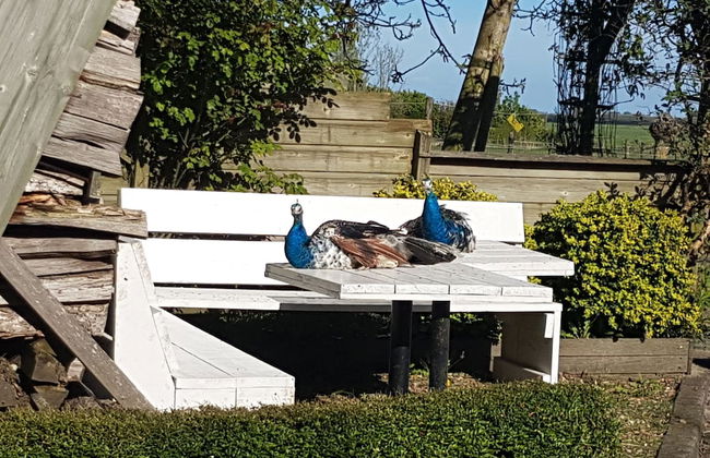 Aan de Waterspiegel - Photo 37