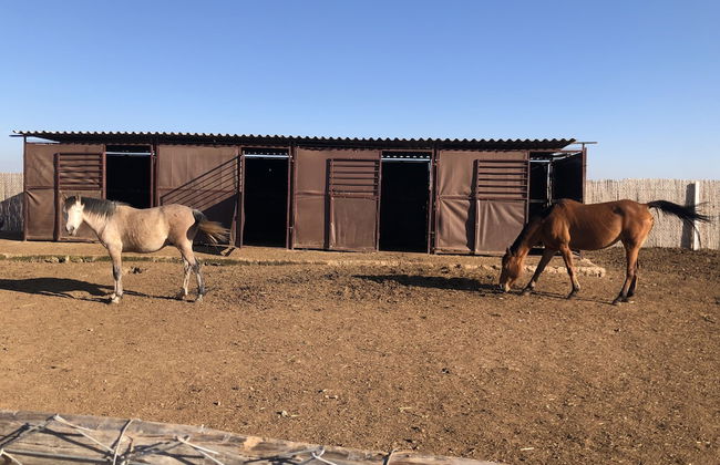 Bio et Bois - Foto 62