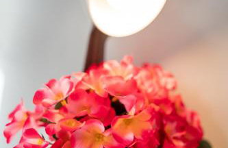 David Luxury Experience Δ3 - Foto 5