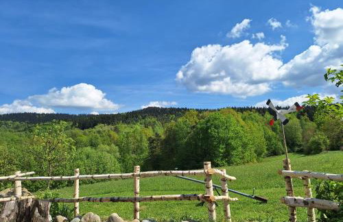 Zacisze Babci Ludwisi w Beskidzie Niskim - Photo 8
