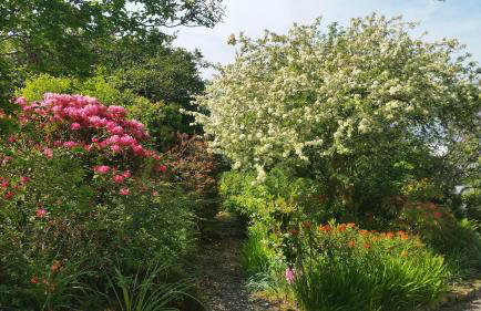 ArdFyne on Lochfyne - Foto 28