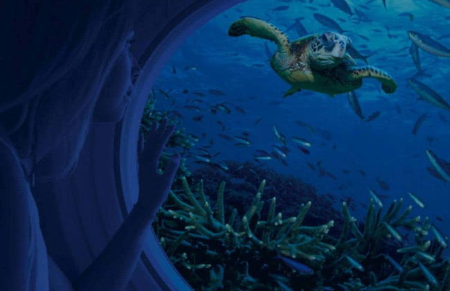 Paseo en submarino por Cozumel - Foto 4