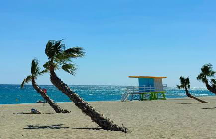 Appt T1 bis, terrasse face mer, rénové, climatisé - Foto 18