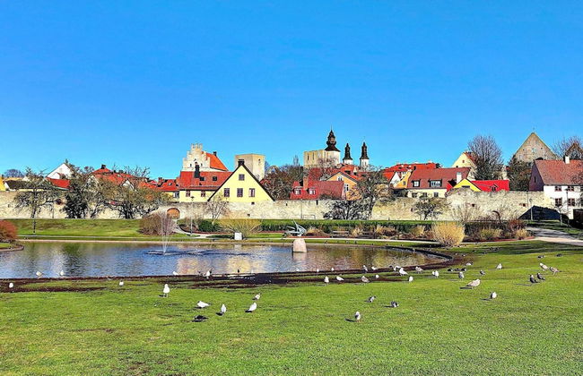 4 Person Holiday Home in Gotlands.tofta - Foto 8