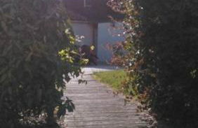 Gîte de l'Ivronnière - Foto 12