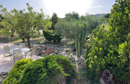 Carpe Diem - Photo 52