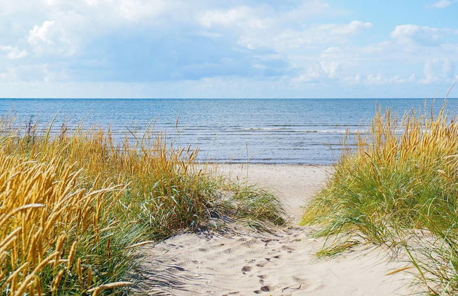 4 Person Holiday Home in Falkenberg-by Traum - Foto 14