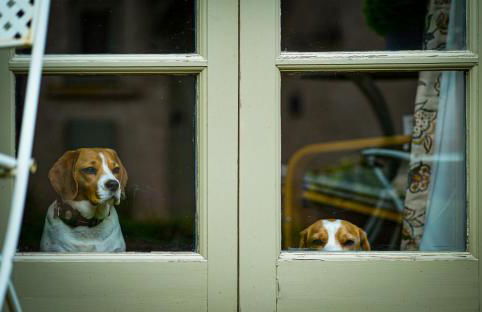 Toad Hall Pet-Friendly Family Stay, Lake Access - Foto 44