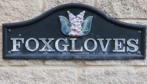 Foxgloves - Foto 3