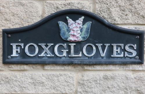 Foxgloves - Foto 3