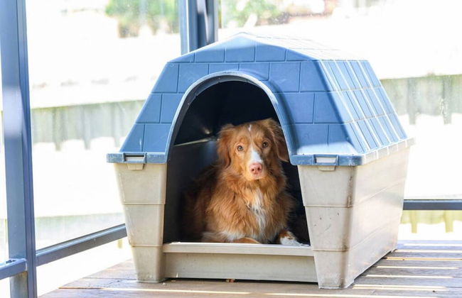 Your Ocean Oasis Ocean Country Views Spa Pet Friendly Fireplace - Foto 50