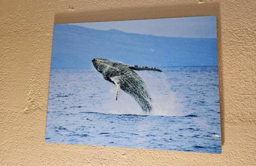 Yonegan Plumeria Hilo Hotel - Foto 51