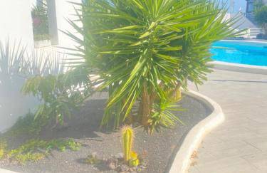 Los Arcos 305 - Foto 10