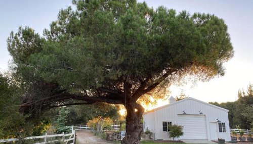 The Ranchette at Los Berros - Foto 2