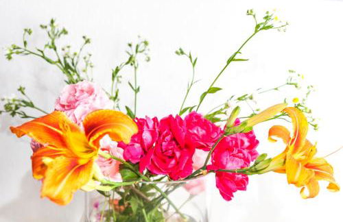 Agriturismo Cascina Scanna - Foto 55