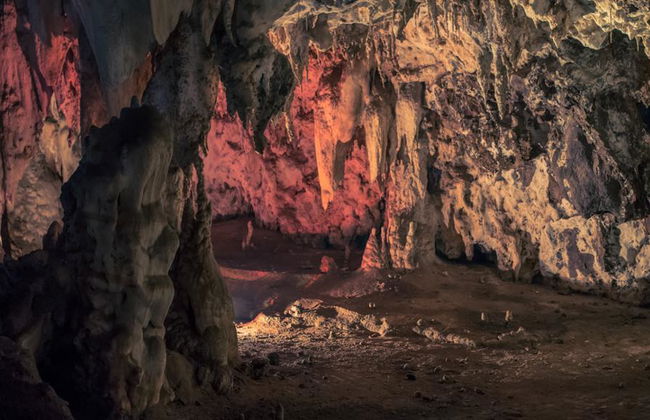 Descubre Johannesburgo - Alquiler de coche privado con chófer - Un día entero - Foto 3