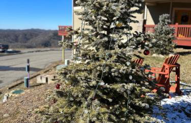 Appalachian Hideaway - Foto 49