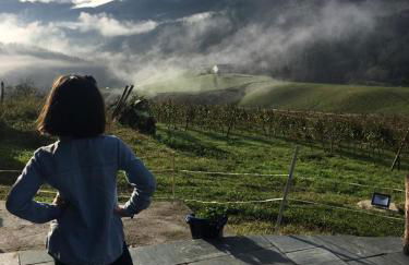 Agroturismo Erlete Goikoa -ESTAMOS EN EL CAMINO DE SANTIAGO -WE ARE ON THE CAMINO DE SANTIAGO- SENDERISMO-RUTAS Y BICICLETA - Photo 45