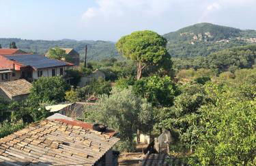 Sofia's Bella Vista Pagoi - Photo 59