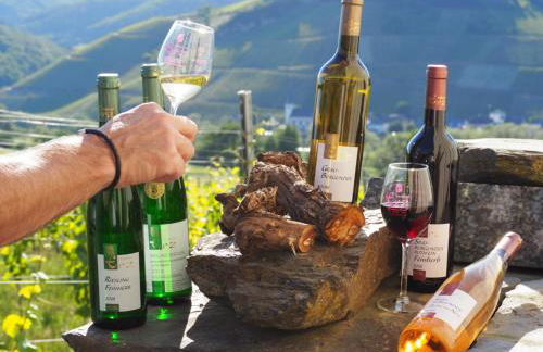 Weingut & Gästehaus Andreas Erz - Foto 1