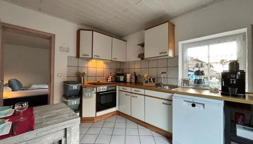 Rheinauszeit - Foto 5