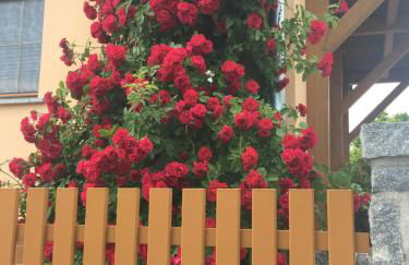 FeWo „Zum Napoleonstein“ - Foto 63