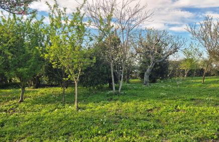 Fogar do Faustino,Rianxo by Cristian&Tamara "alquileres" - Foto 53