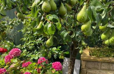 Private apartment in Wrose, Shipley, Bradford - Foto 21