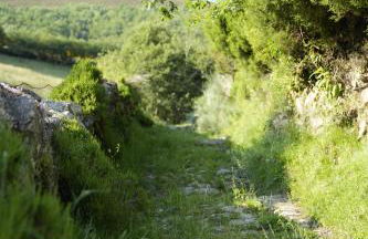 Vivienda Uso Turístico Prado novo - Foto 35