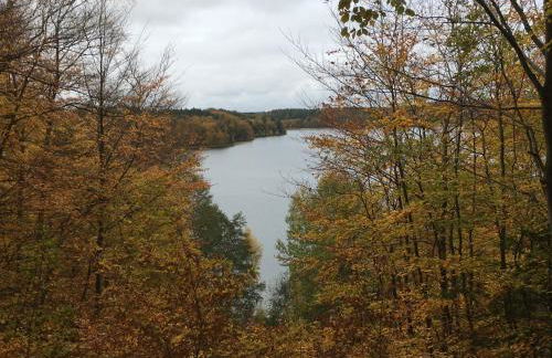 Röblinseeterrassen - Foto 72