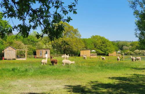 Double Decker Bus on an Alpaca Farm Sleeps 8 - Foto 98